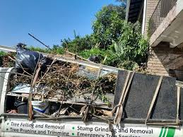 Best Same-Day Junk Removal Services  in Dawsonville, GA